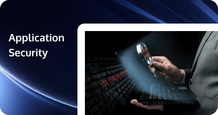 Application Security: Protecting Software in an Interconnected World