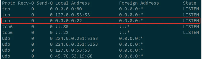 check whether the local machine is already listening on ipv6